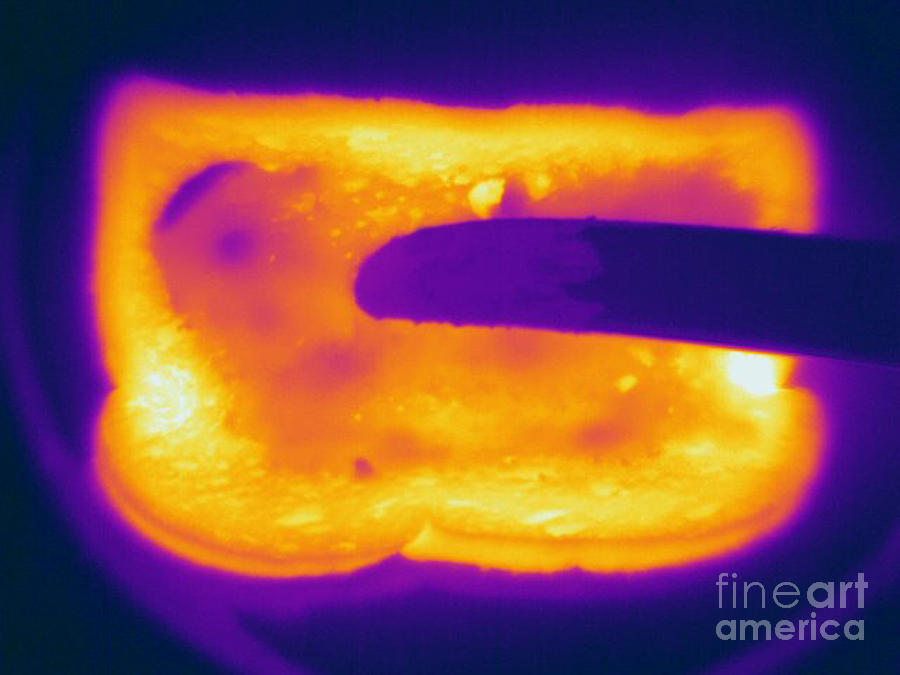 Knife Still Life Photograph - Thermogram Of A Hot Toast #1 by Ted Kinsman