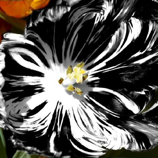 Abstract Photograph - This Photo Is Available In My Ig Skins #1 by James Granberry Abstract Photograph - This Photo Is Available In My Ig Skins #1 by James Granberry
