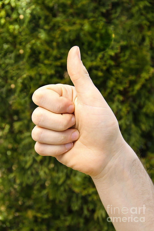 Thumbs Up #1 Photograph by Photo Researchers, Inc.
