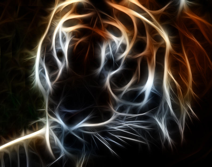 Tiger Fractalius soft Photograph by Maggy Marsh