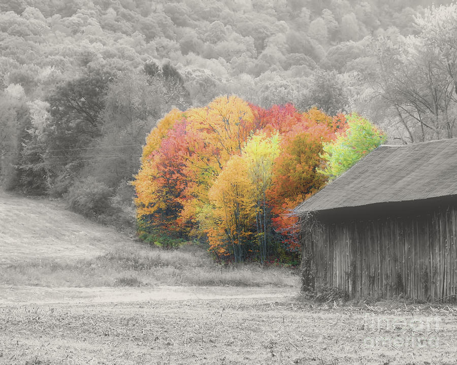 Tobacco Barn In Autumn #2 Photograph by Smilin Eyes Treasures