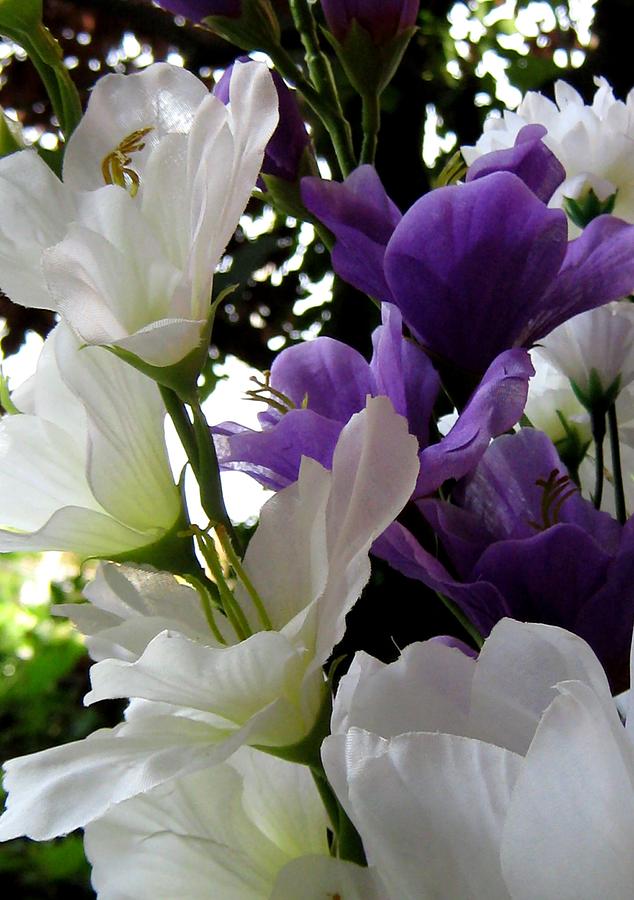Garden Photograph - Todays Bouquet Twelve #1 by Lynn De Serres