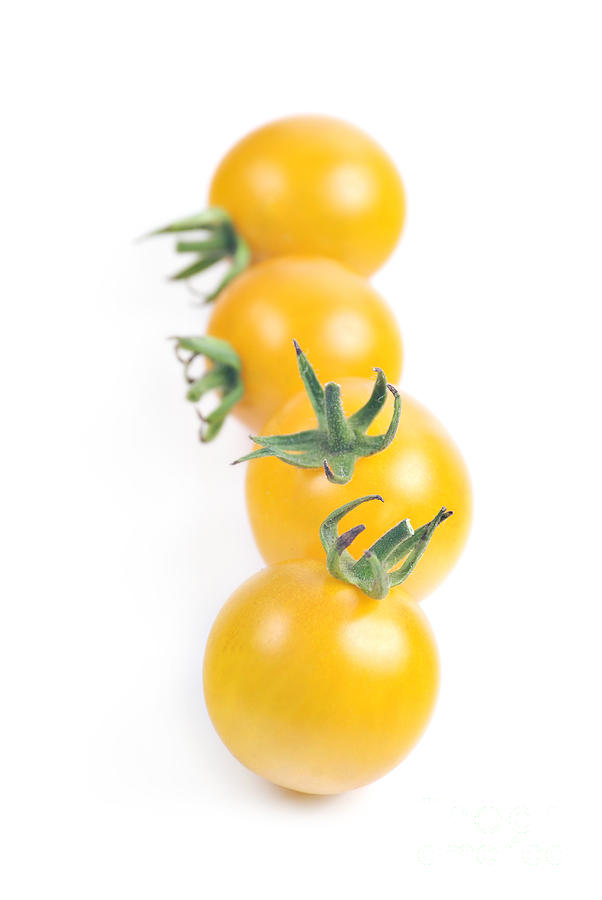 Fruit Photograph - Tomatoes #1 by HD Connelly