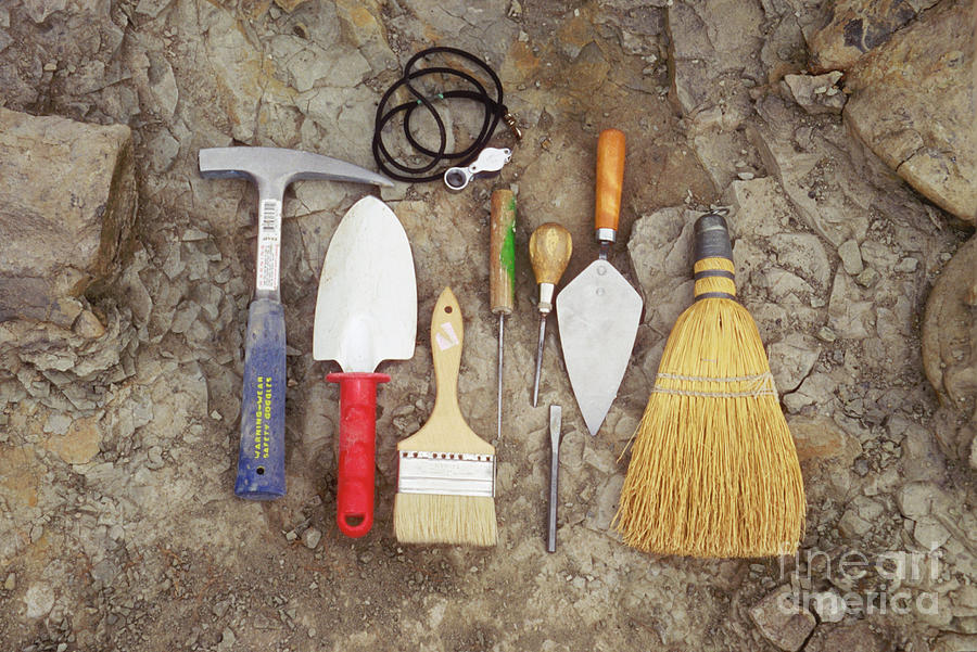 Tools Used To Excavate Dinosaur Fossils #1 Photograph by Ted Kinsman