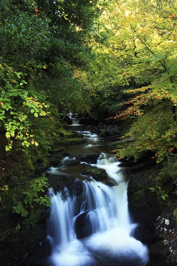 Torc Waterfall, Killarney National Photograph