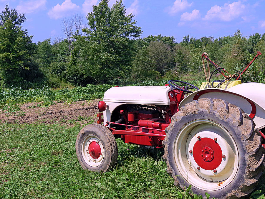 Tractor Photograph by Janice Drew