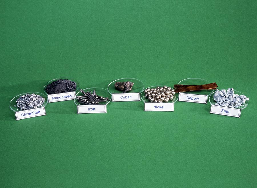 Transition Metals #1 Photograph by Science Photo Library Transition Metals #1 Photograph by Science Photo Library