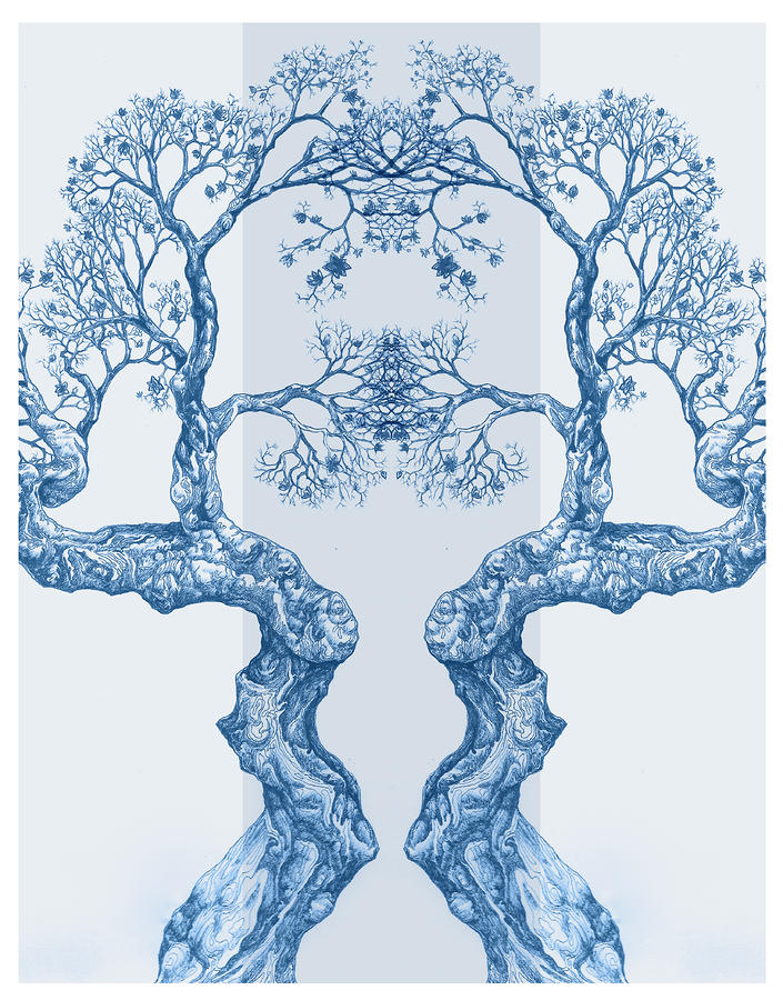 Tree 14 Blue 6 #2 Digital Art by Brian Kirchner