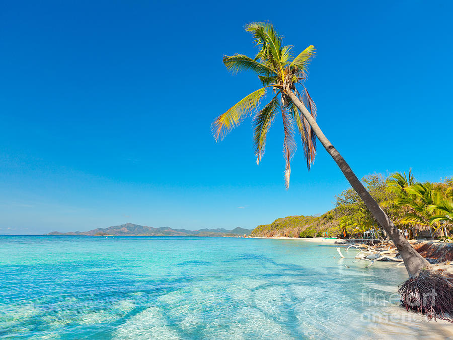 Tropical beach Malcapuya Photograph by MotHaiBaPhoto Prints - Fine Art ...