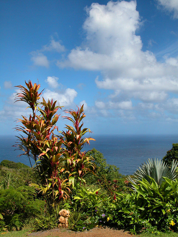 Tropical Paradise #1 Photograph by Lynn Bauer