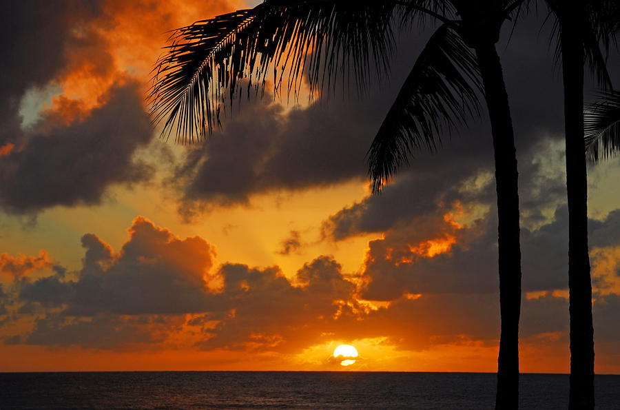 Tropical Sunset #1 Photograph by Lynn Bauer