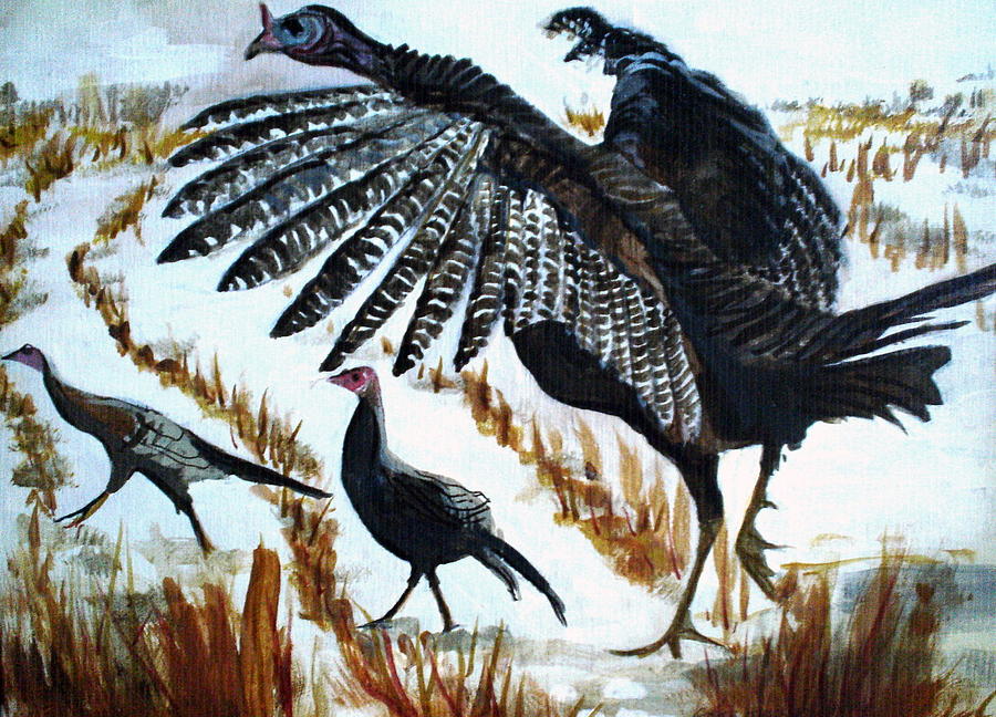 Turkey Trot #1 Painting by Edith Hunsberger