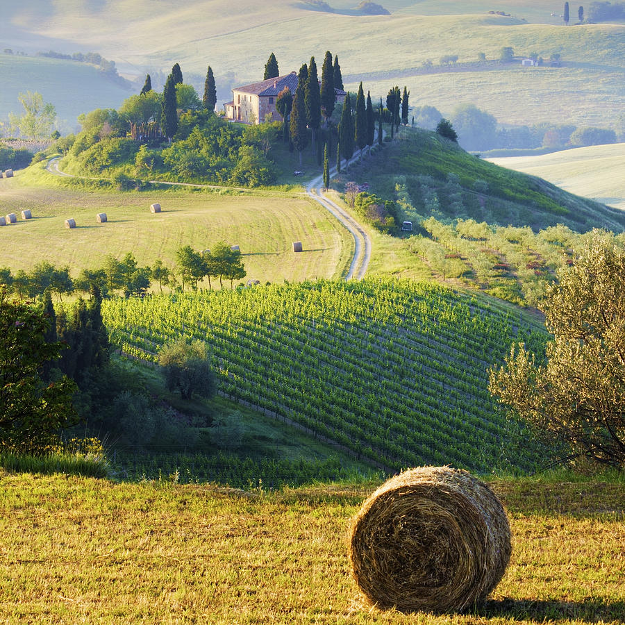 Tuscany #1 Photograph by Francesco Riccardo Iacomino