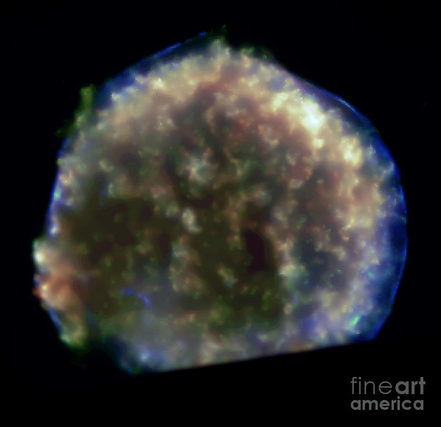 Tychos Supernova Remnant #1 Photograph by Nasa
