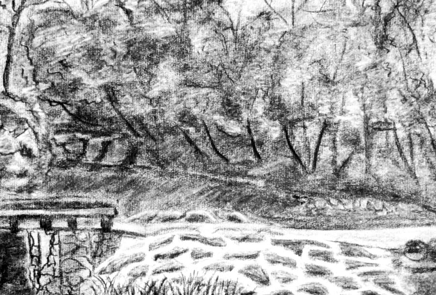 Tyler PArk #1 Drawing by Vickie G Buccini