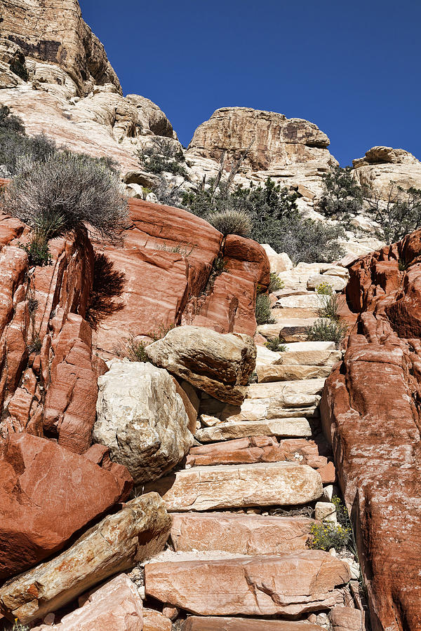 Upward Photograph by Kelley King | Fine Art America