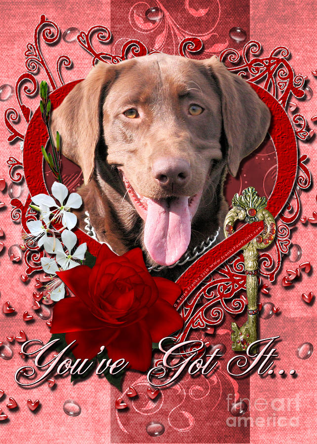 Valentines - Key to My Heart Labrador Digital Art by Renae Crevalle ...