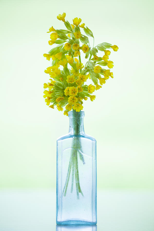 Vase Of Cowslips #1 Photograph by Tim Graham