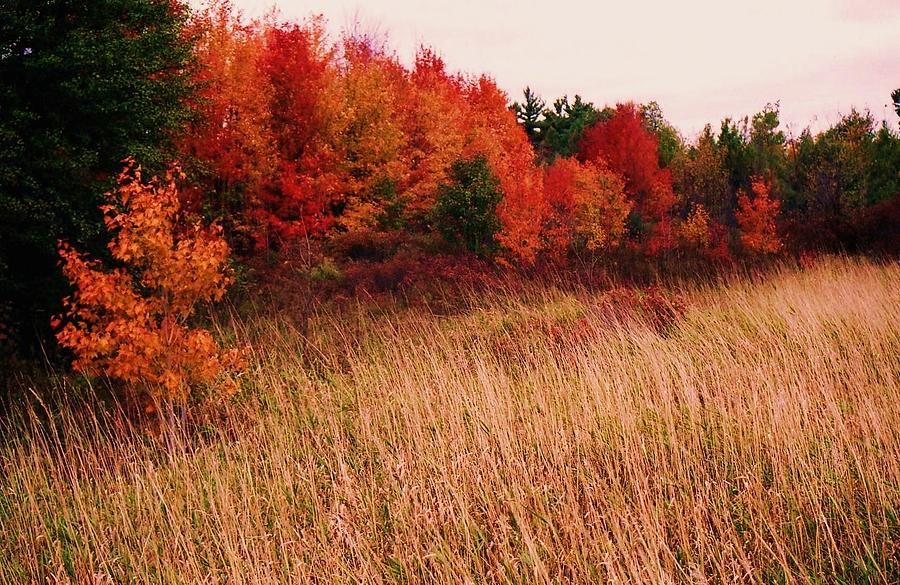 Vermont Autumn #1 Photograph by John Scates