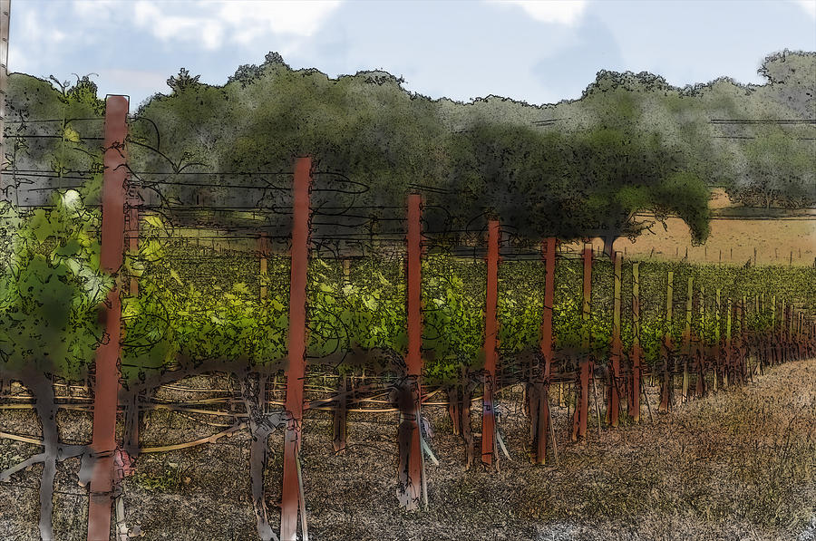Vineyard in Summer #1 Digital Art by Brandon Bourdages