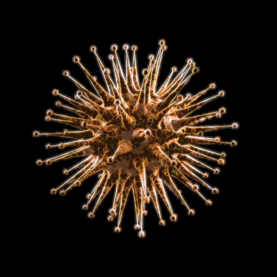 Pathogen Photograph - Virus, Artwork #1 by Laguna Design