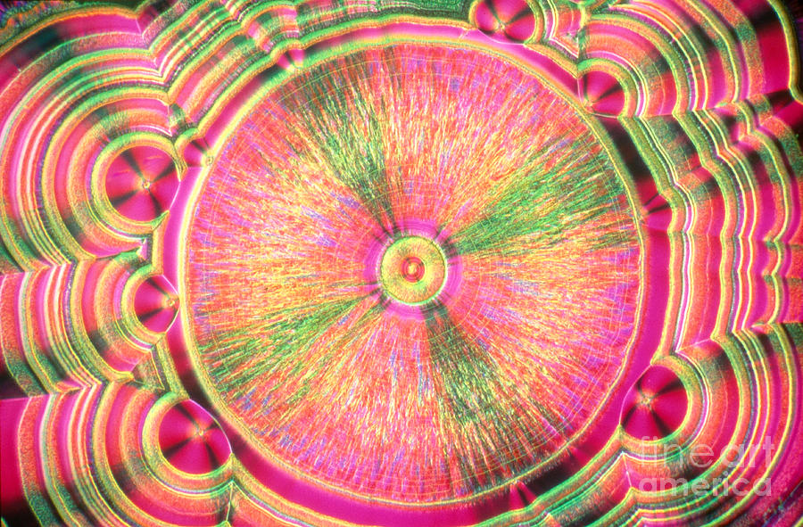 Chemistry Photograph - Vitamin C Crystal #1 by M. I. Walker