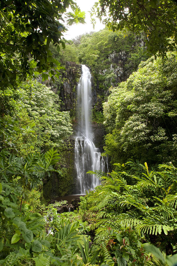 Wailua Falls #1 Photograph by Jenna Szerlag