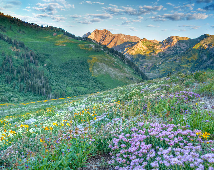 Wasatch Mouintains Utah #1 Photograph by Douglas Pulsipher