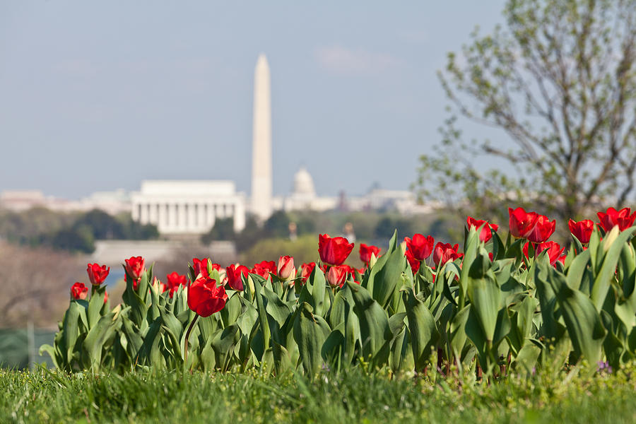 Washington DC Skyline with Lincoln Memorial Washington Monument ...