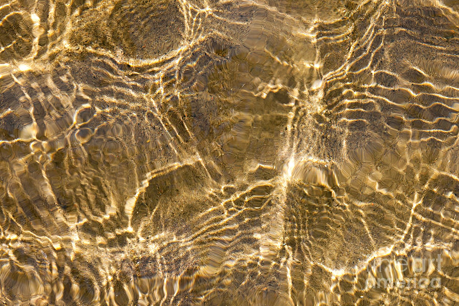 Water and sand ripples 1 Photograph by Elena Elisseeva