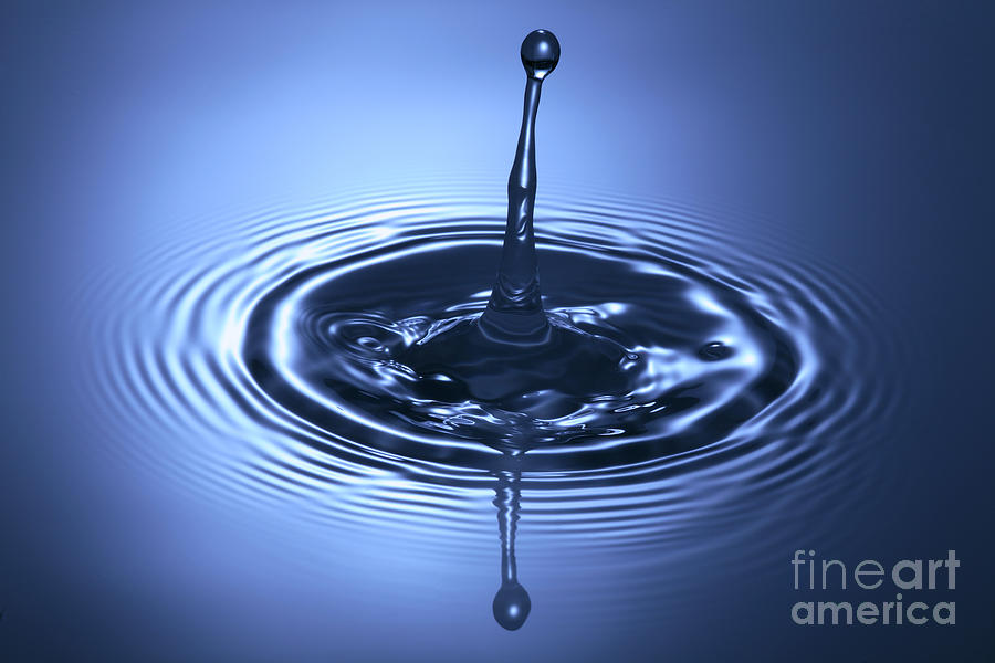 Water Drop #1 Photograph by Ted Kinsman