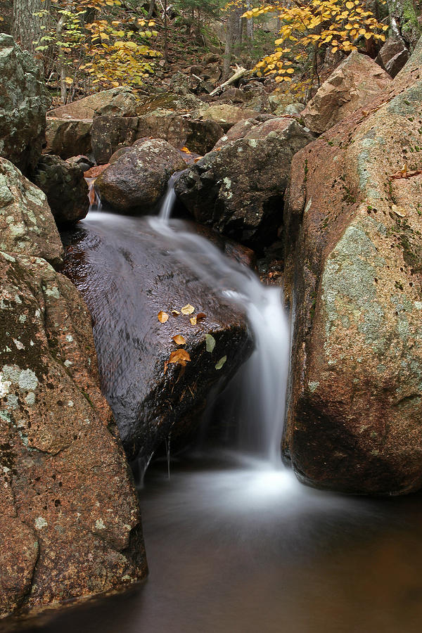Waterfall In Acadia National Park Photograph by Juergen Roth