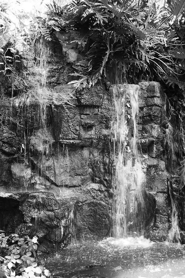 Waterfall in Black and White #1 Photograph by Bruce Bley