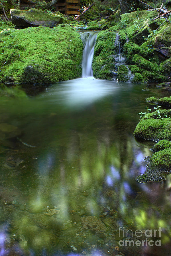 Waterfall #1 Photograph by Ted Kinsman