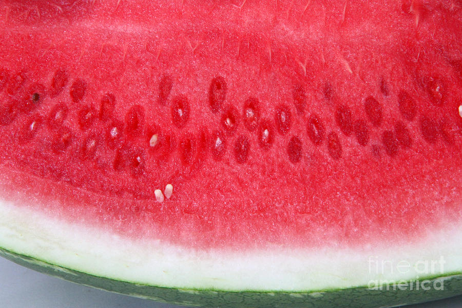 Watermelon #1 Photograph by Photo Researchers, Inc.