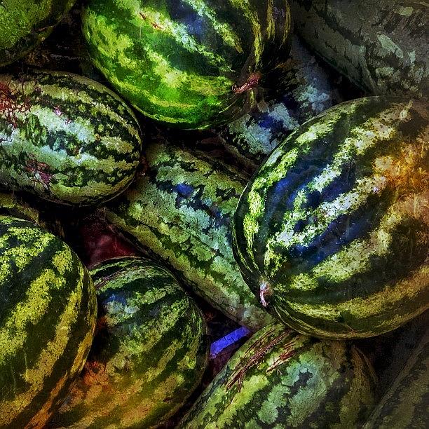 Farm Photograph - Watermelons. Farm Stand, Boulder County #1 by Chris Bechard