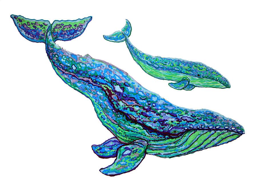 Whale Drawing - Whales #1 by Nick Gustafson