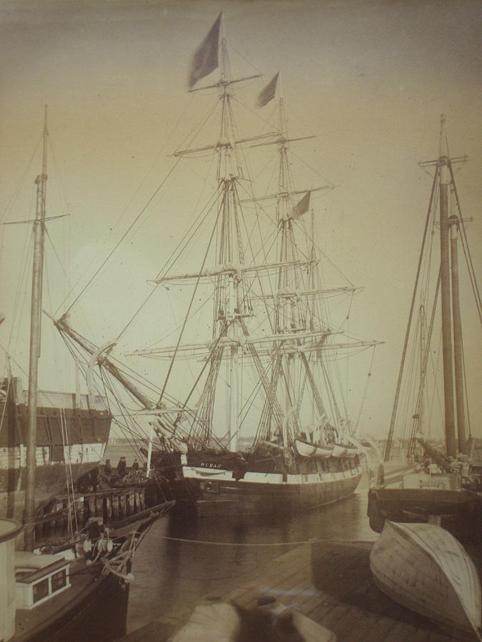 Whaling Vessel Ocean Photograph by Unknown | Fine Art America