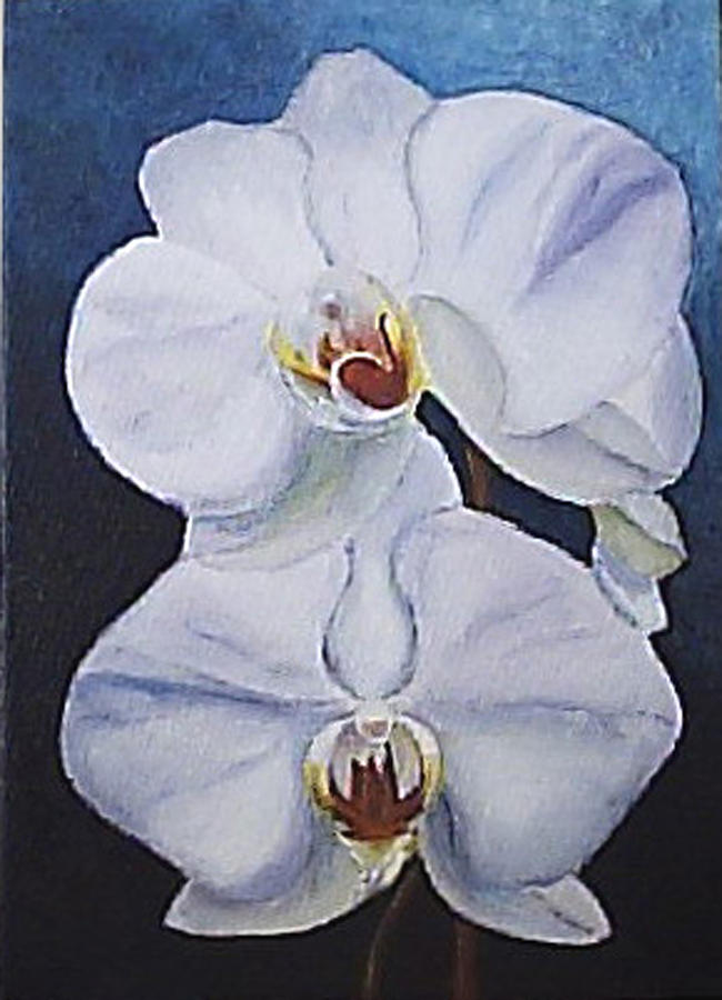 White Orchid #1 Painting by Silvia Philippsohn