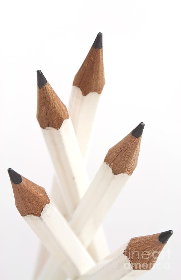 Pattern Photograph - White pencils #1 by Blink Images