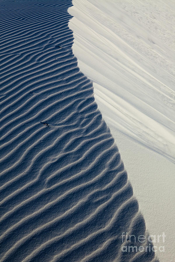 White Sands #2 Photograph by Keith Kapple