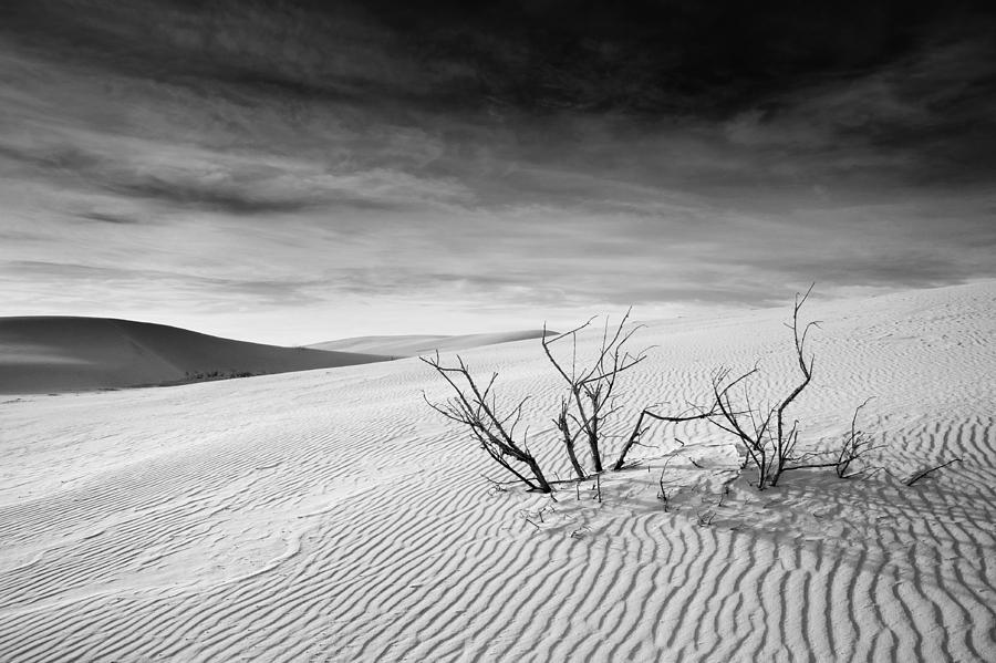 White Sands #1 Photograph by Mike Irwin