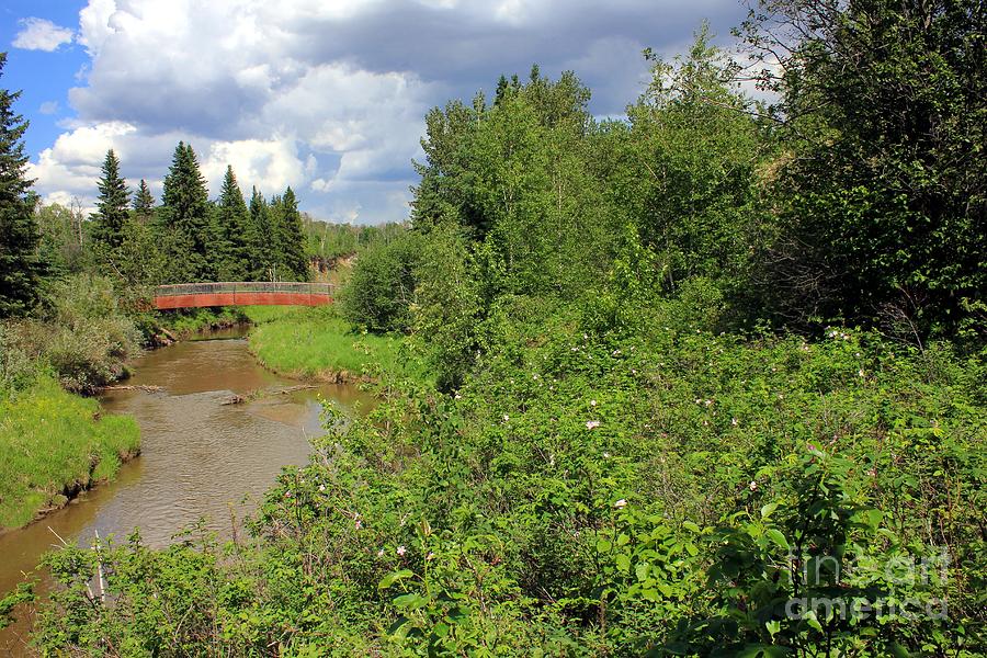 Wild Roses on Whitemud Creek #1 Photograph by Jim Sauchyn