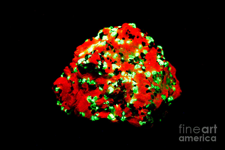 Willemite In Uv Light #1  by Ted Kinsman