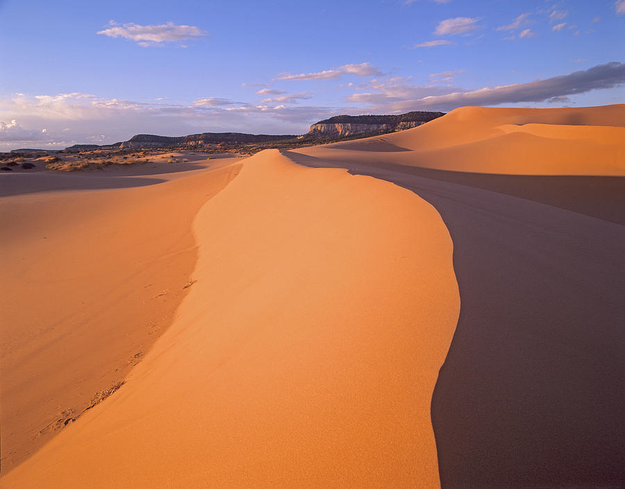 Wind Ripples In Sand Dunes Photograph by Tim Fitzharris