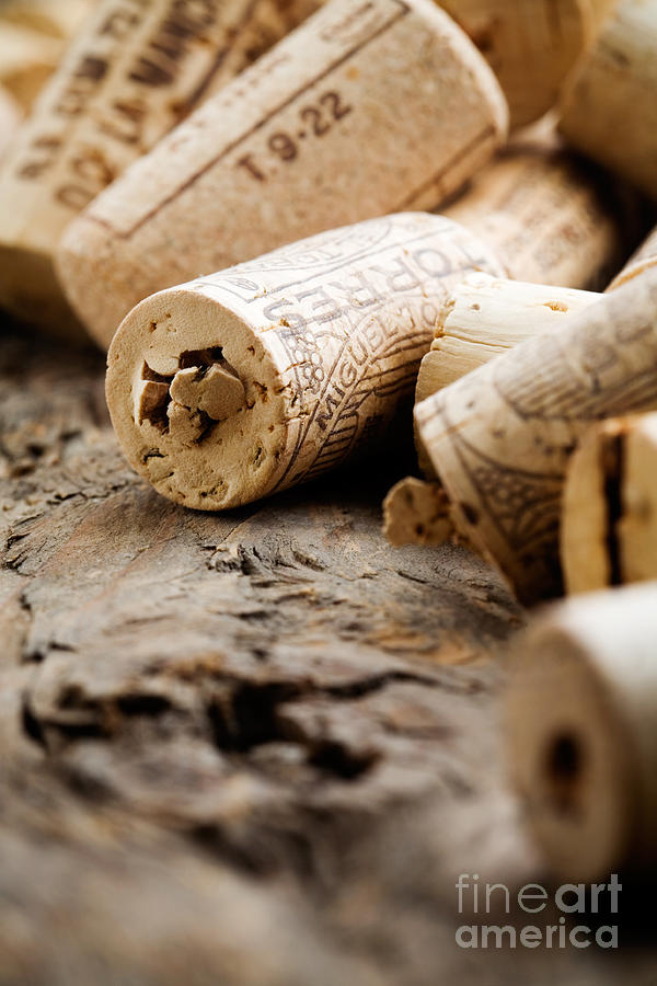 Wine corks #1 Photograph by Kati Finell