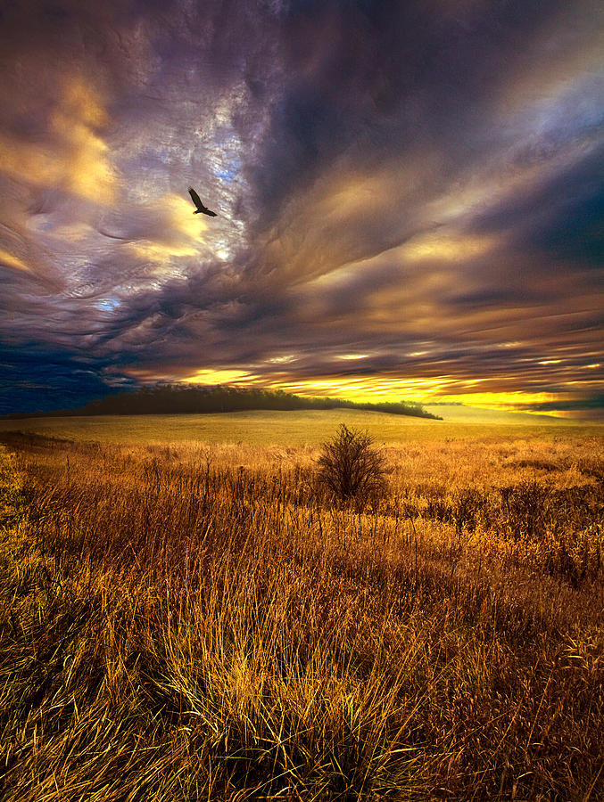 Landscape Photograph - Wings and Prayers #1 by Phil Koch