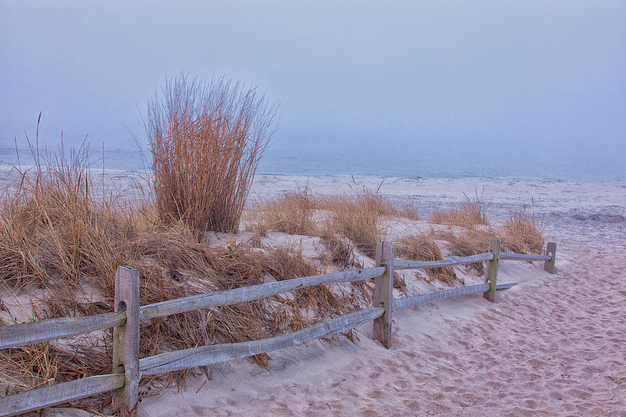Winter Beach #1 Photograph by Tom Singleton