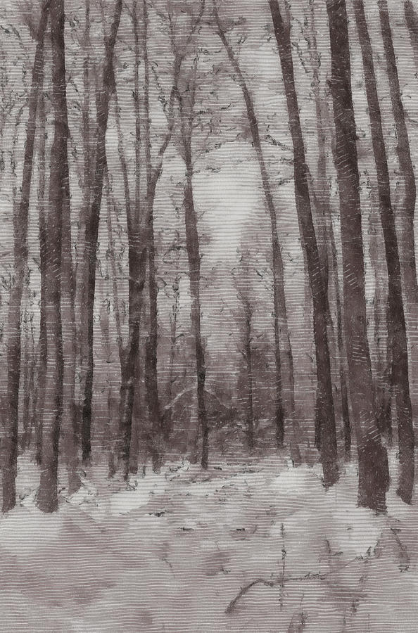 Winter forest #1 Photograph by Michael Goyberg