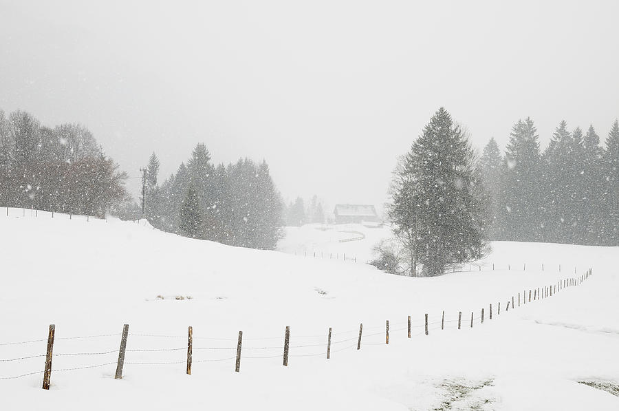 Winter landscape #1 Photograph by Matthias Hauser
